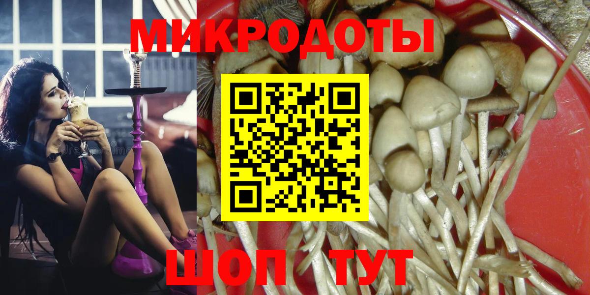 Псилоцибиновые грибы Psilocybe Асино