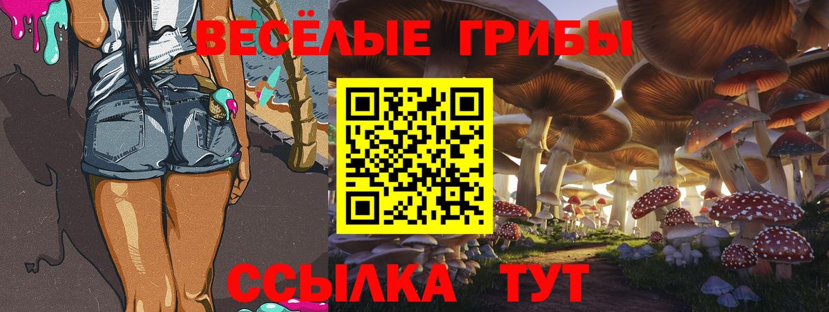 Псилоцибиновые грибы мицелий  Вход с VPN  Галлюциногенные грибы Magic Shrooms  Асино 